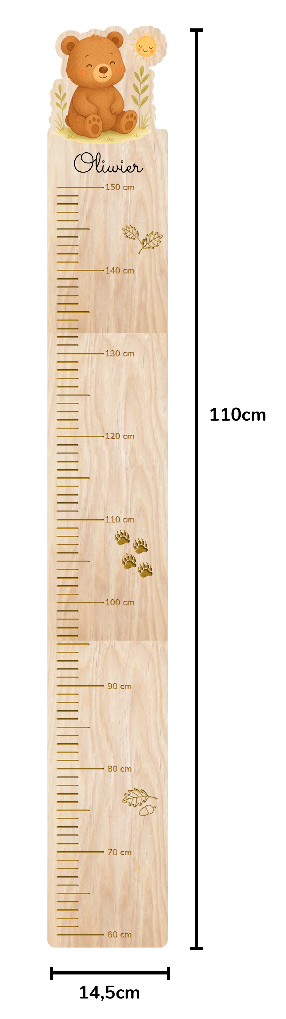 Bear Height Chart