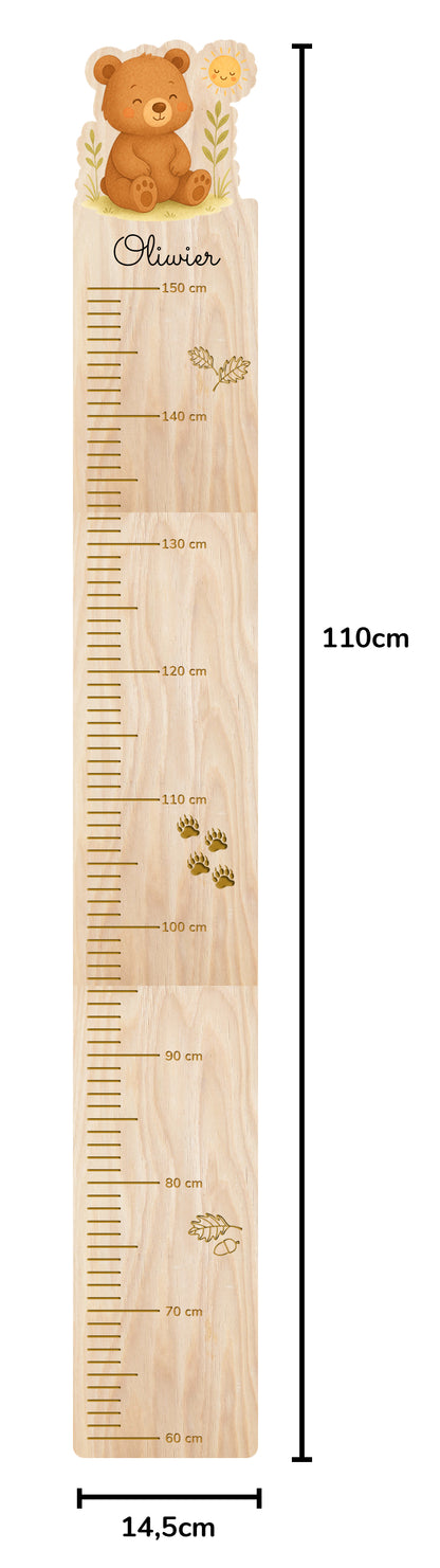 Bear Height Chart