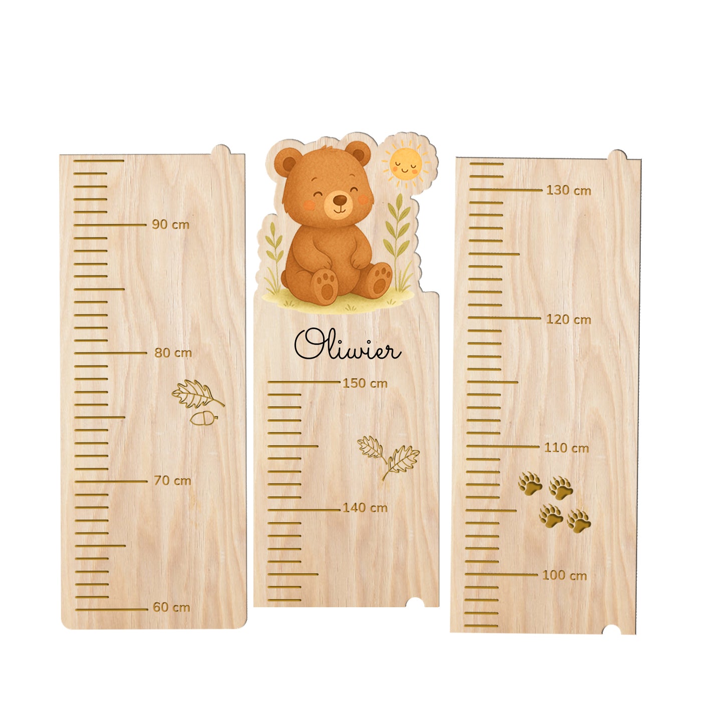 Bear Height Chart