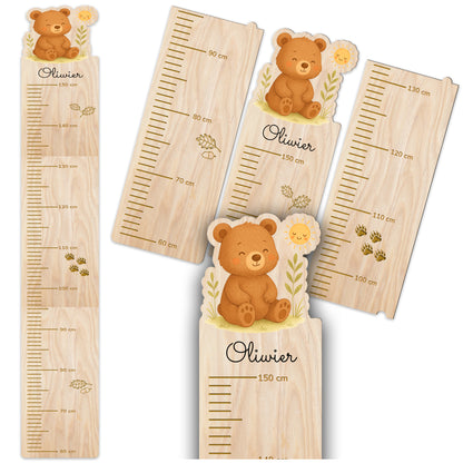 Bear Height Chart